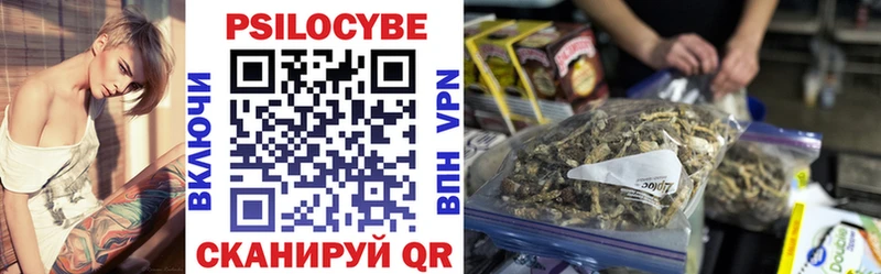 купить наркоту  Духовщина  Псилоцибиновые грибы Magic Shrooms 